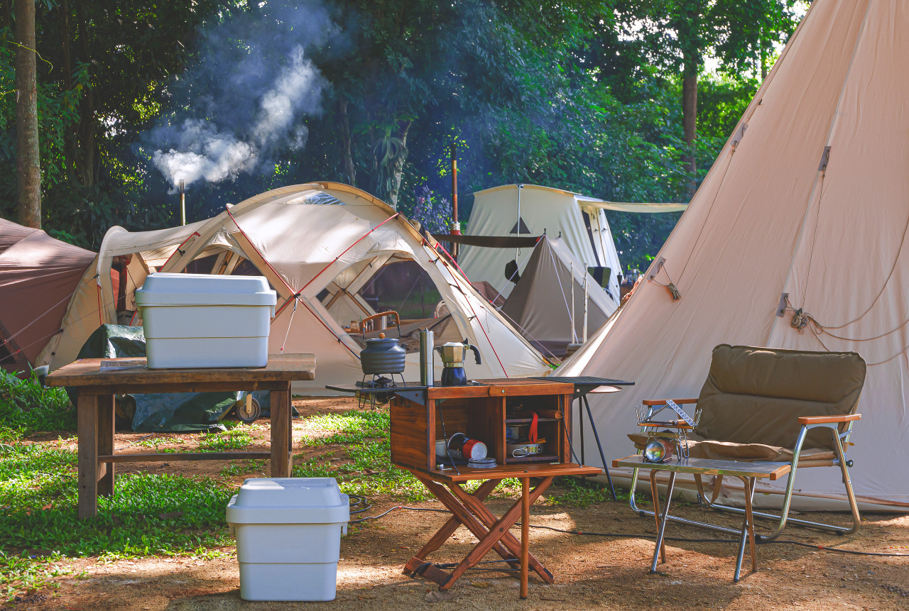 Urządzamy pole namiotowe lub camping